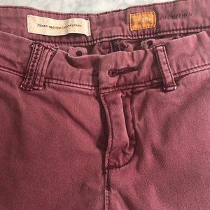 Anthropologie Pilcro & the Letterpress 26Petite